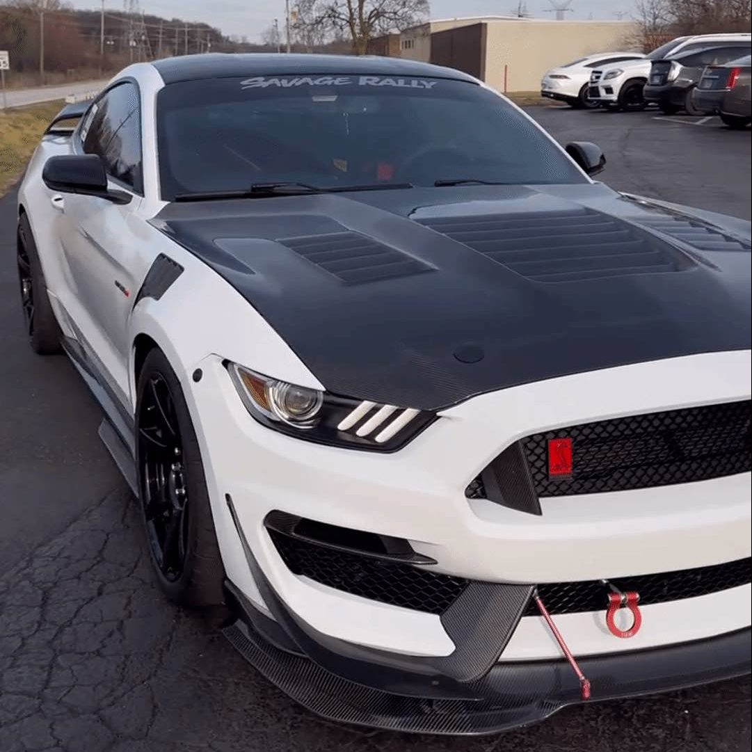Picture GT 350R Shelby Mustang